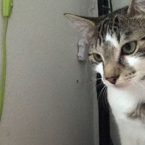 Meet your Posher, Liona